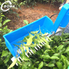 Single Man Operate Mini Tea Leaf Harvester for Assam Tea