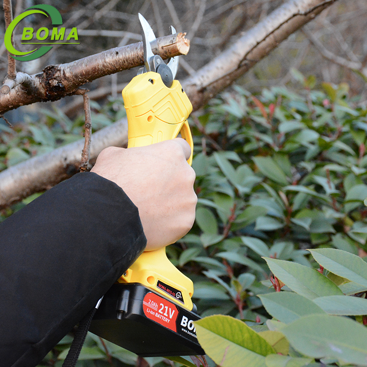 20lgiht pruner