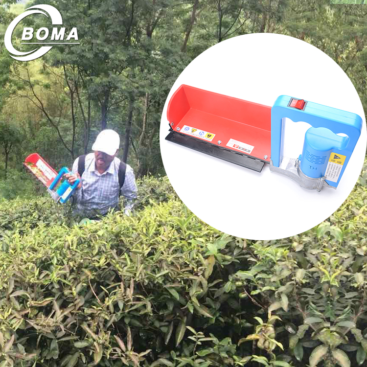 42hand held tea harvester