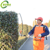 Factory Direct Sale Electric Battery Powered Telescopic Hedge Clippers for Horticulture Workers