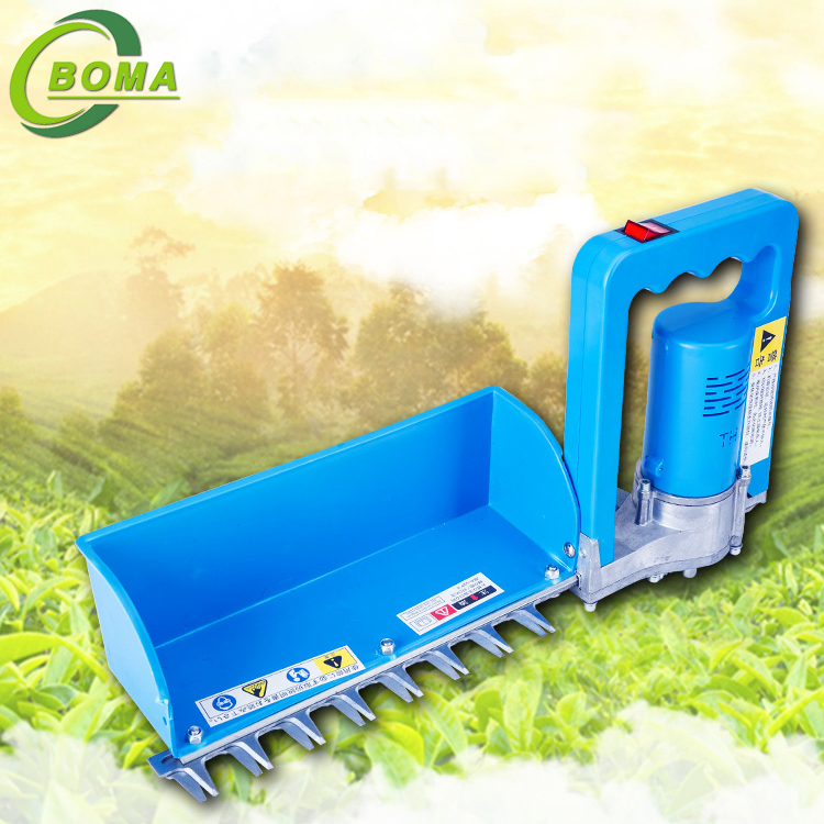 The Newest Battery Powered Tea Leaf Plucking Machine Developed by BOMA Company