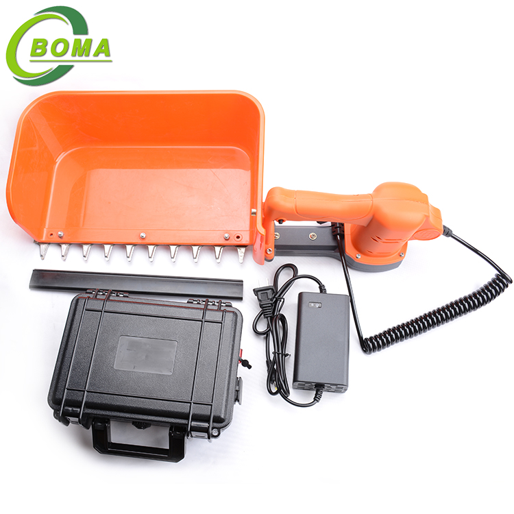 10vegetable harvester
