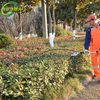 Professional 2 Stroke Petrol Hedge Cutters for Municipal Garden