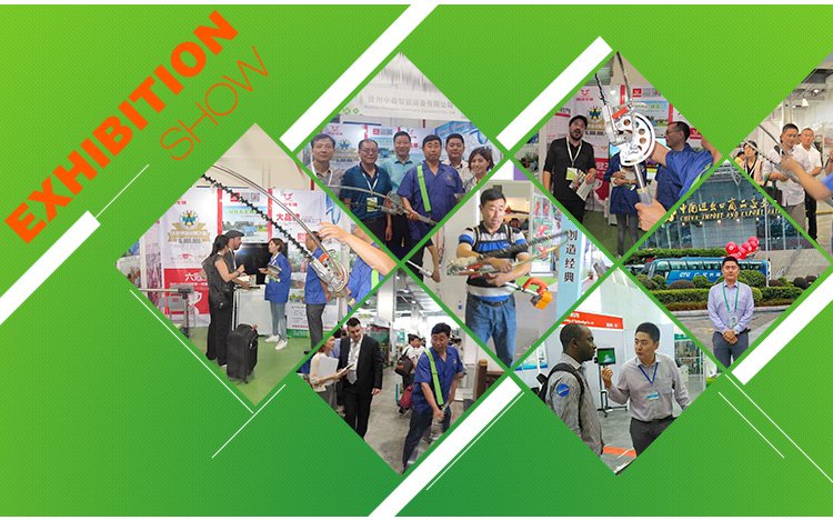 5. Boma exhibitions