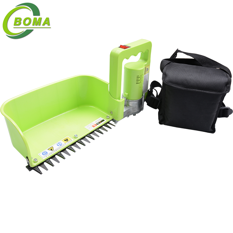 Widely Used Single Person Handed Tea Pluck Harvesting Machine for Tea Tree Branch