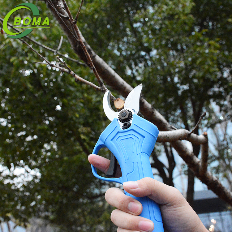 Manufacturer Supply Rechargeable Electric Pruning Shears for Pruning Branches Fruit Trees