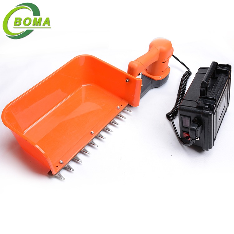 BOMA BMTH-300 Mini Tea Plucking Machine with Big Container for Sprout ...