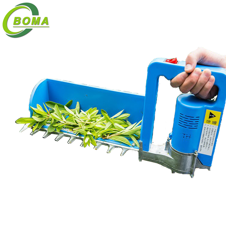Hot Sale Battery Powered Tea Plucking Machines for Tea Plantation From BOMA Company