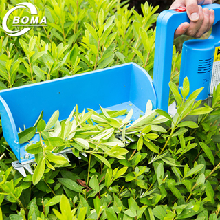 Mini And Light Tea Picking Machine for Tea Plantation From BOMA Company