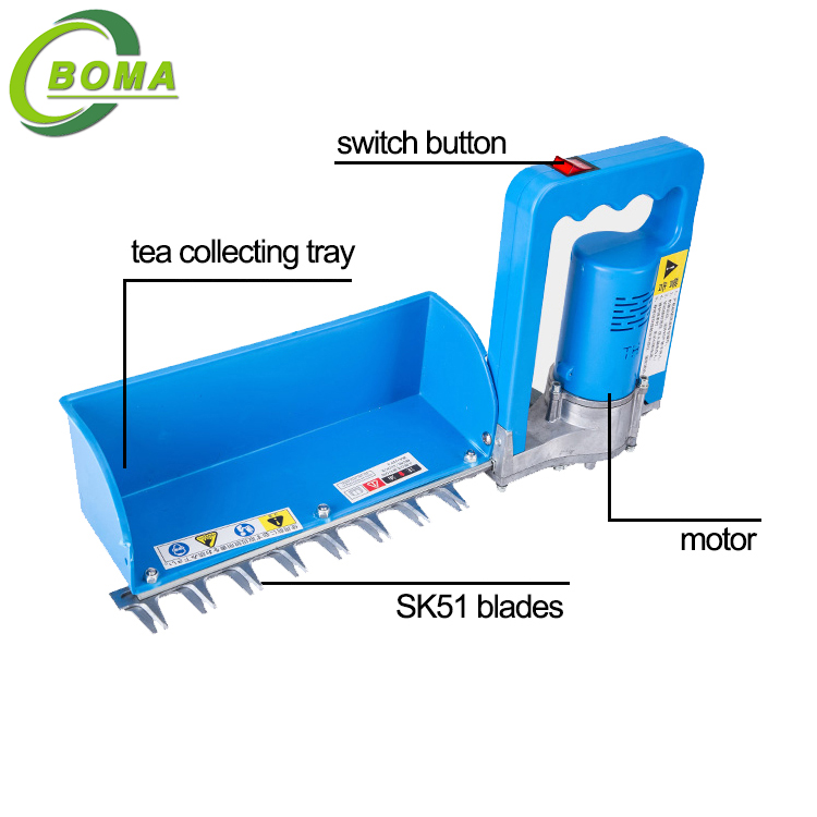 10BOMA tea harvester