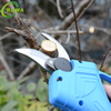 Chinese Hottest Built-in Battery Grape Pruning Shears for Agricultural Works