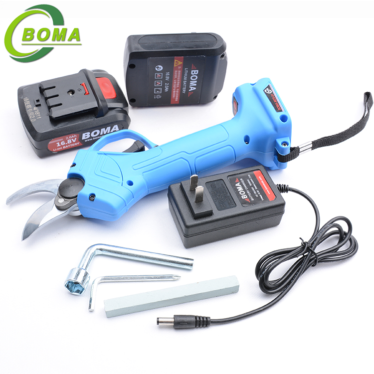 39mini motor pruner