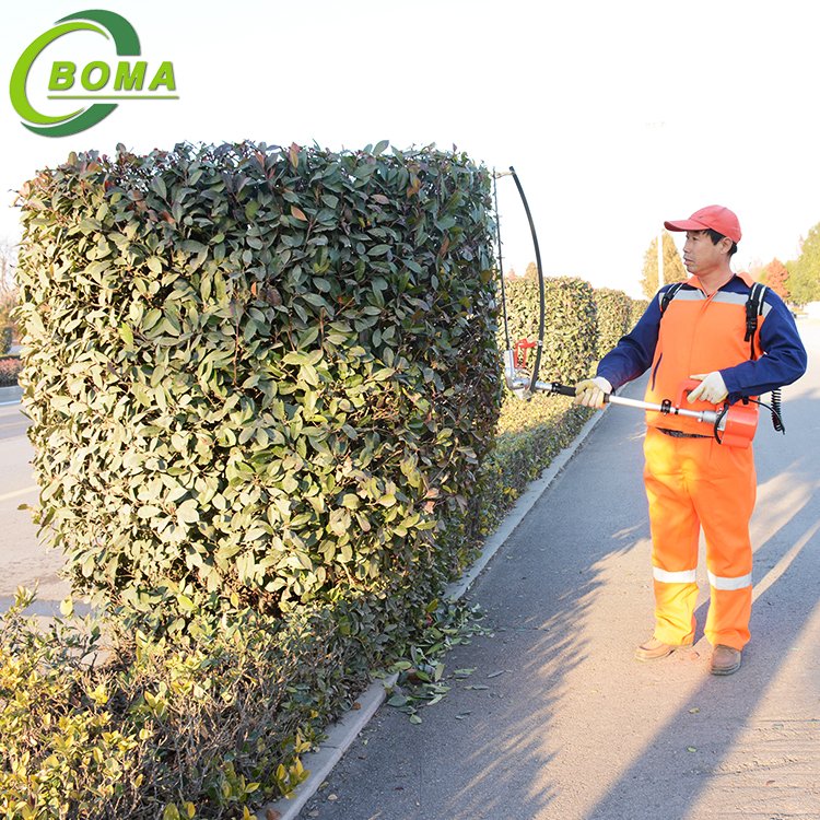 Unique 500w Cordless Long Pole Hedge Trimmer with Double Blades for Shearing Bushes