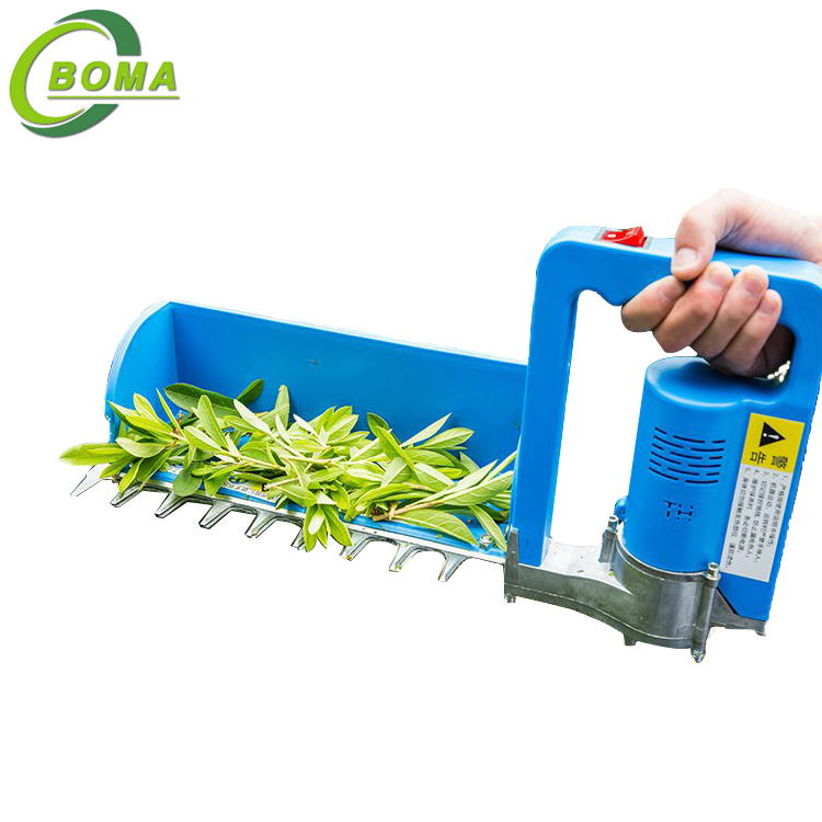 6tea pruner