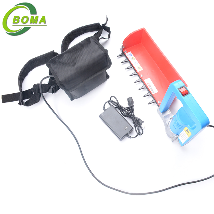 Low Price Tea Leaf Picker for Tea Plantation From BOMA Company