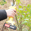 Mini Li-on Battery Garden Bypass Lopper for Agricultural Works
