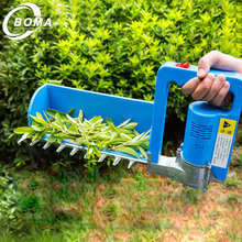 Tea Picking Machine for Tea Estate From BOMA Company