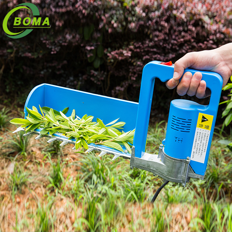 BOMA Brand Mini Tea Leaf Harvester for Tea Company