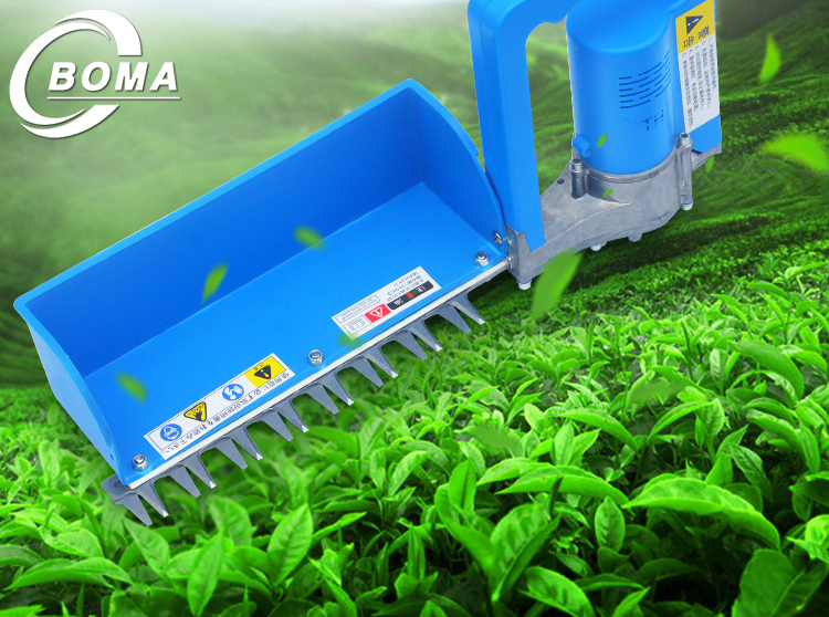 Easy to Operate Tea Trimming Machine for Tea Garden Hedges Green Belt