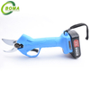 Factory Directly Sale Rechargeable Mini Flower Pruning Shear with Lithium Battery