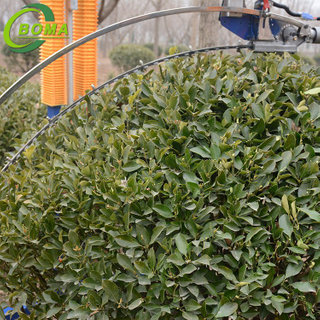 Competitive Price Pruning Machine for Trimming Spherical Plants and Shrubs