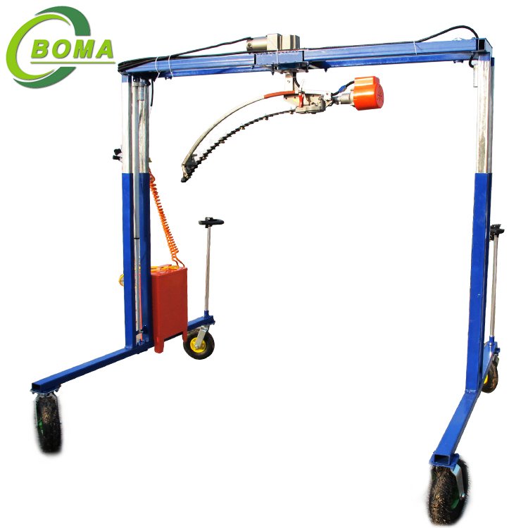 11 trimming machine for pruning boxwood