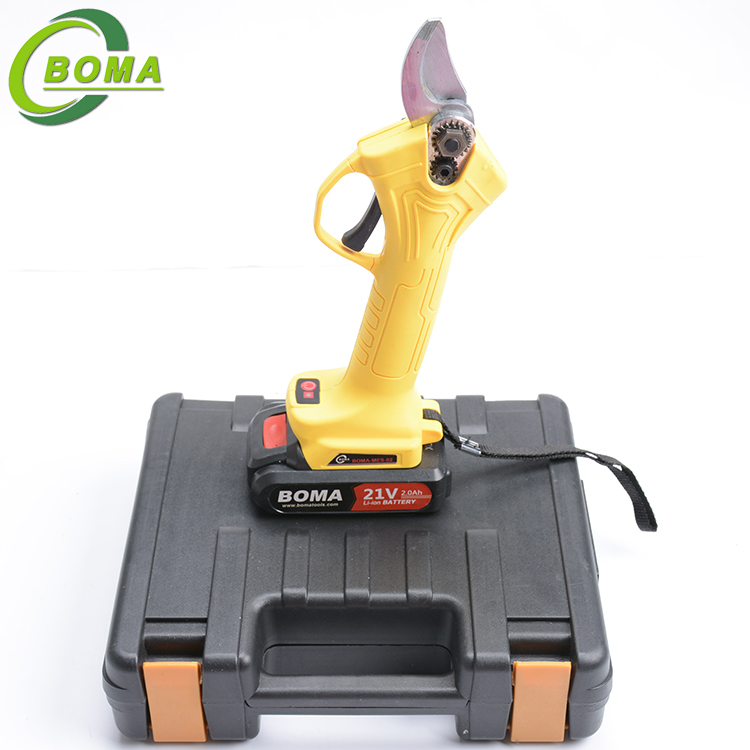 28apple tree scissor