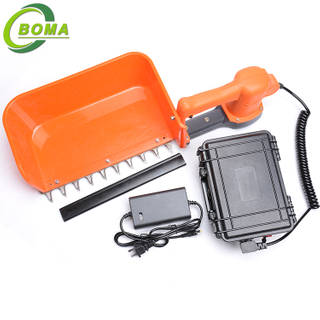 New Invention BOMA-BMTH-300 Tea Picking Machine for Tea Garden Use