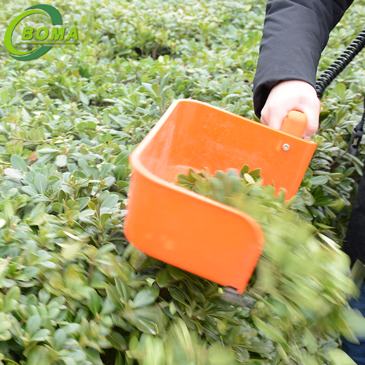 Electric Mini Tea Leave Harvesting Harvester One-man Tea Plucking Picking Machine