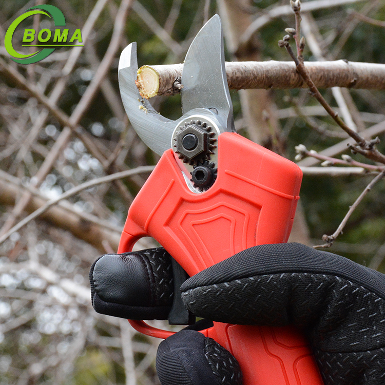 31light pruner