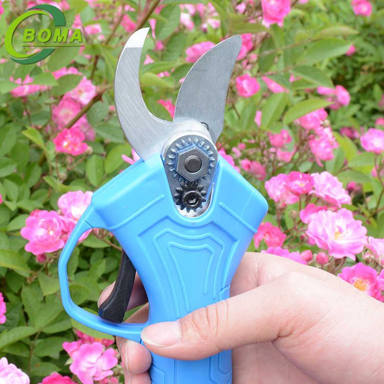 36bypass pruner