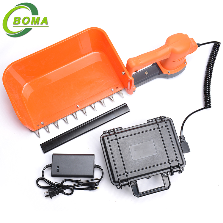 mini tea harvesting machine