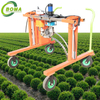China Suppliers Easy To Operated Buxus Trimming Machine For Bushes